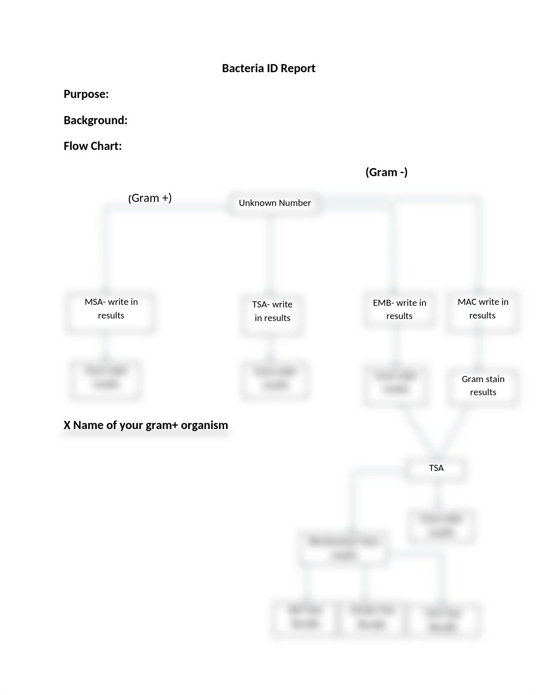 Bacteria ID Report.pdf_djrakovsnkn_page1