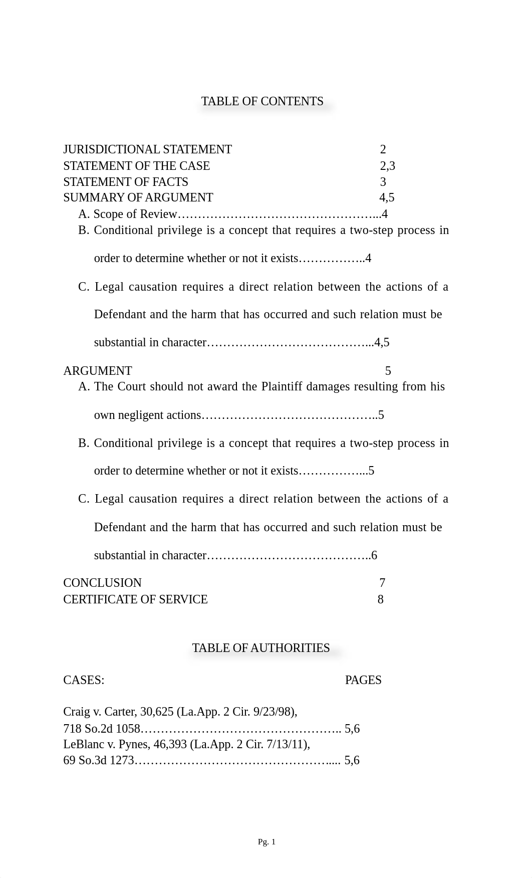 Appellate Brief.docx_djridnmqp3d_page2