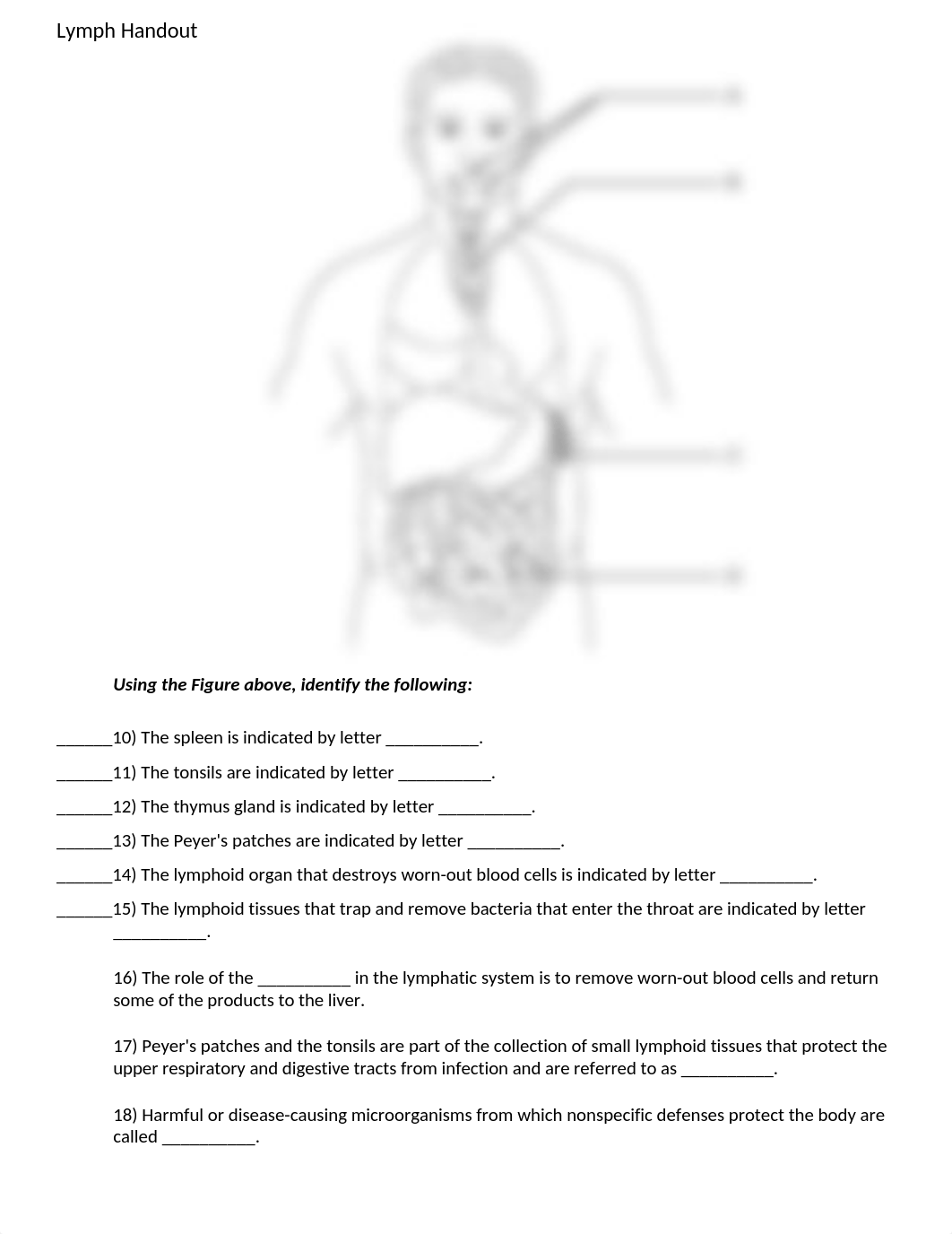 Bio111 Lymph Rev.wks.doc_djrkjuxhvz2_page2