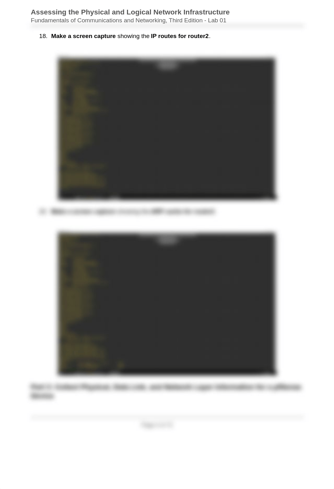 Assessing_the_Physical_and_Logical_Network_Infrastructure_-_Amar_Hodzic.pdf_djs4qfymrmp_page4