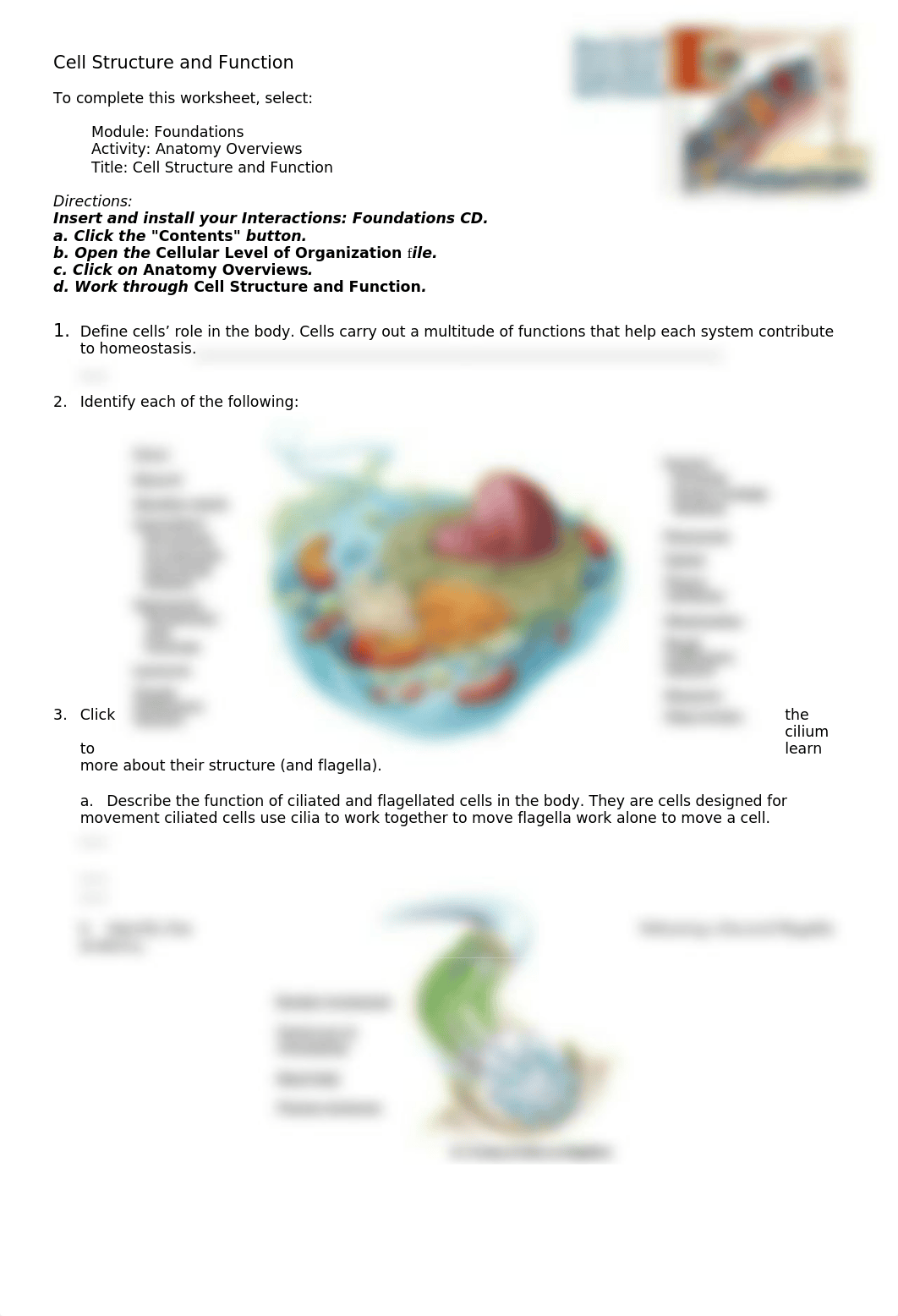 Cell structure and Function.doc_djsg98r49x7_page1