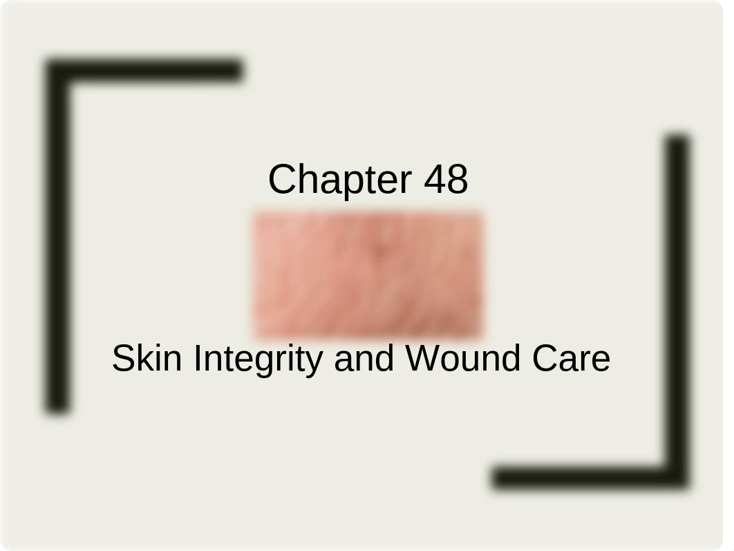 48SkinIntegrity%20sv.pptx_djsjs9cou0f_page1