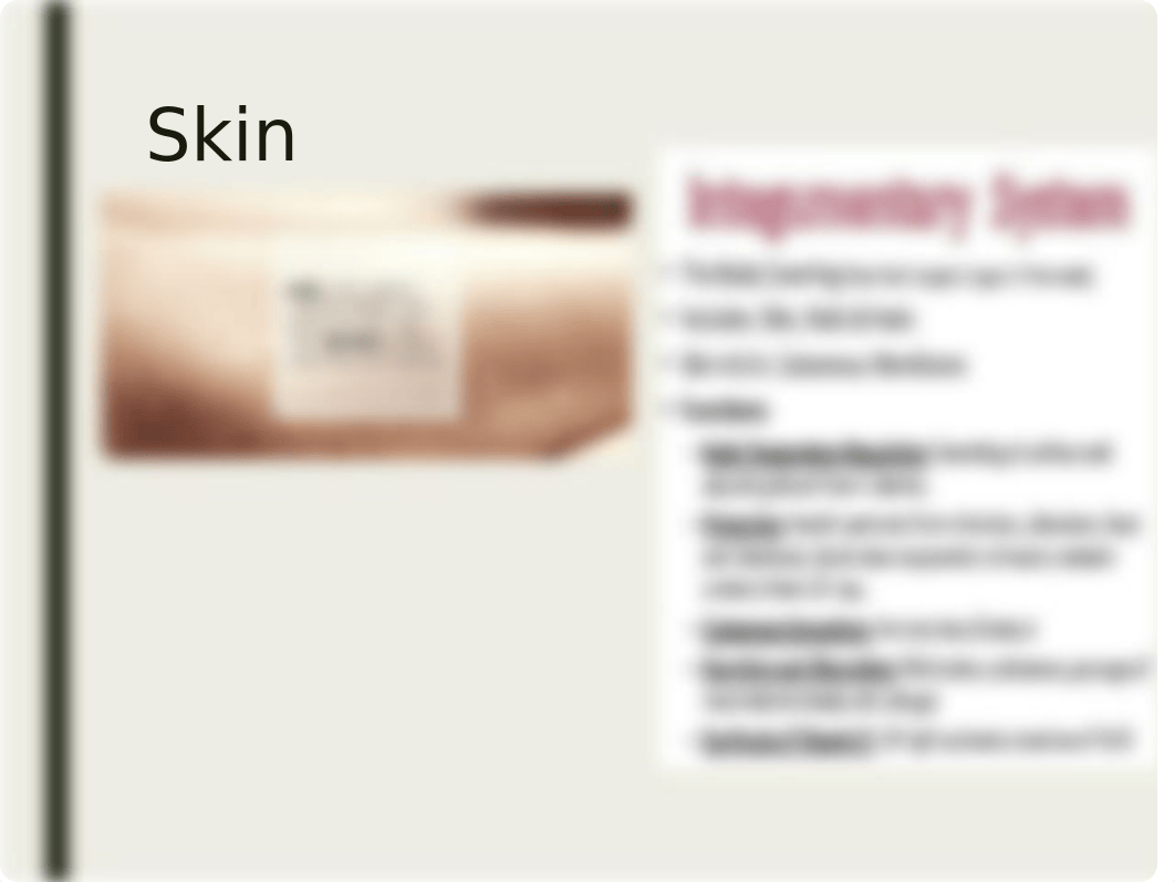 48SkinIntegrity%20sv.pptx_djsjs9cou0f_page3