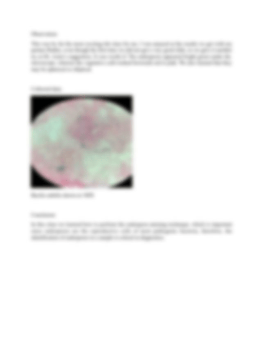 Lab 6 endospore staining.docx_djsjyqchsh9_page2