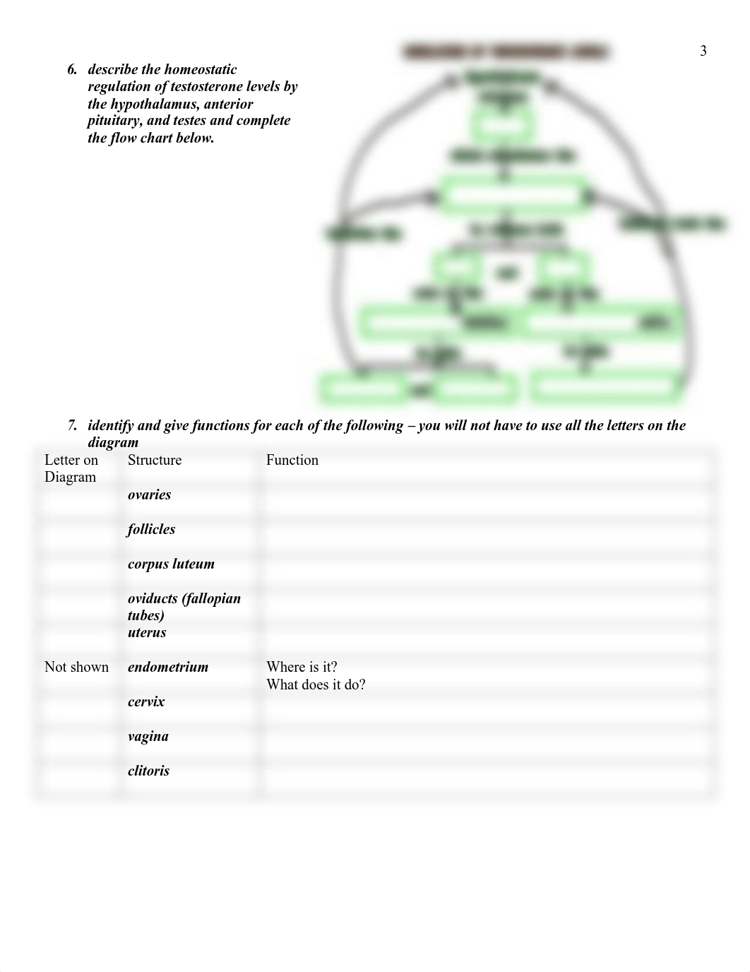 Reproductive System.pdf_djsvd6qc21b_page3