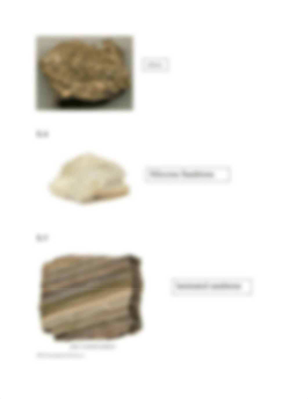 Online sedimentary rocks lab (1).docx_djt03egay43_page2