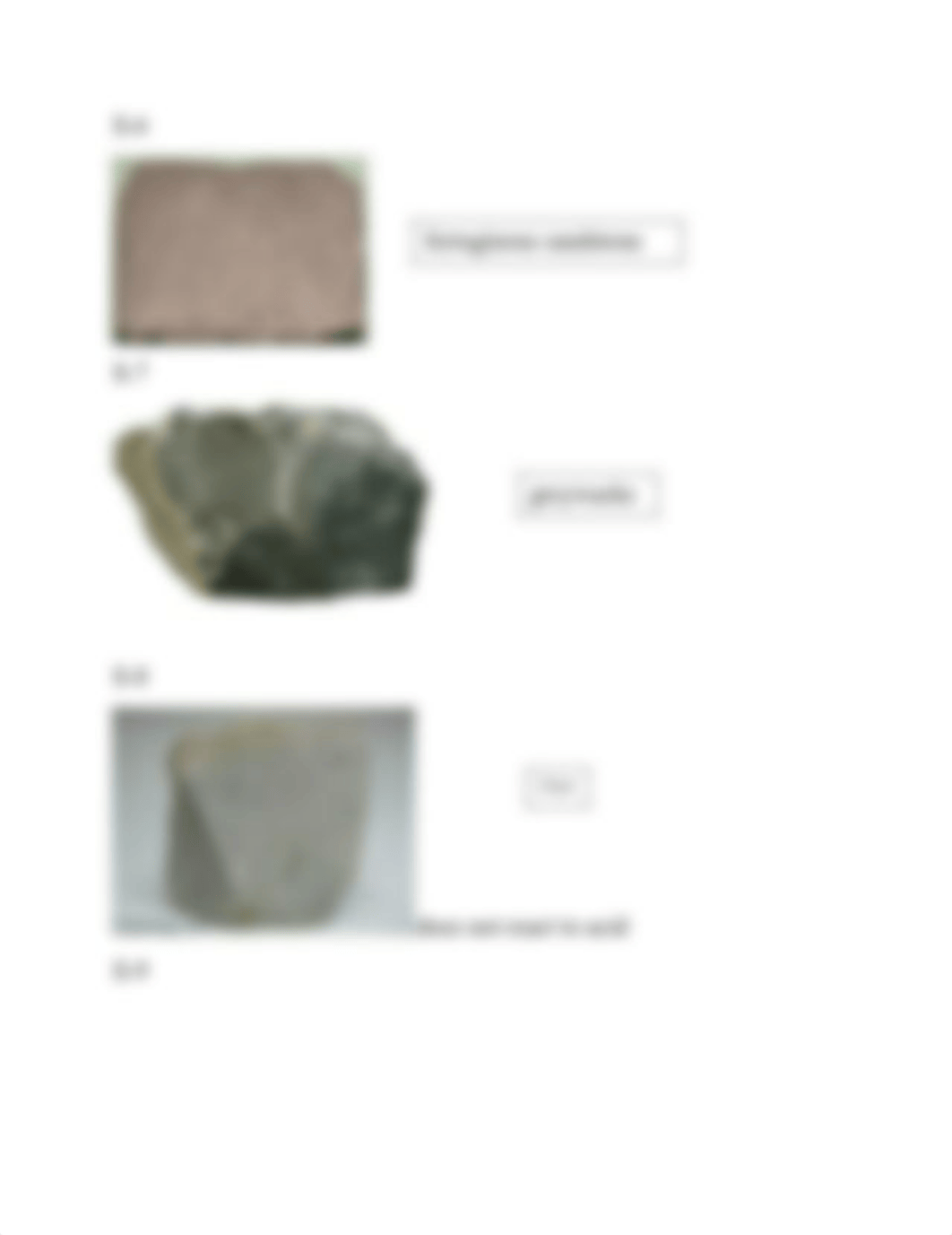 Online sedimentary rocks lab (1).docx_djt03egay43_page3