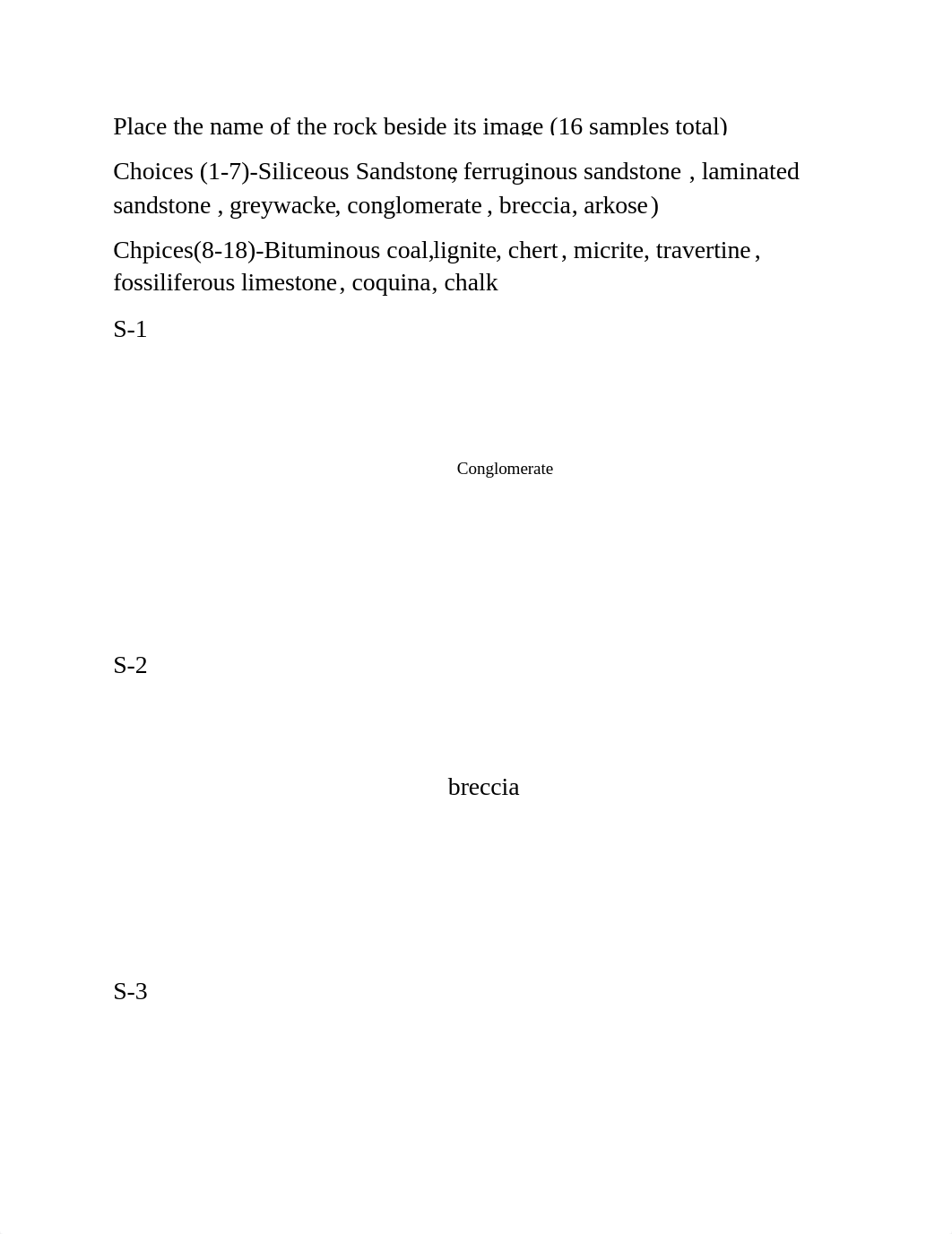 Online sedimentary rocks lab (1).docx_djt03egay43_page1