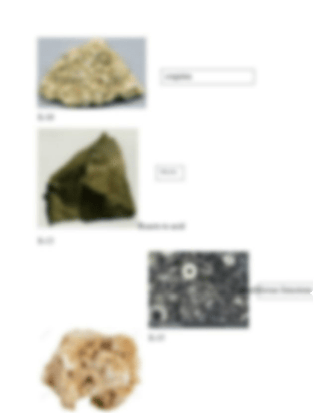 Online sedimentary rocks lab (1).docx_djt03egay43_page4