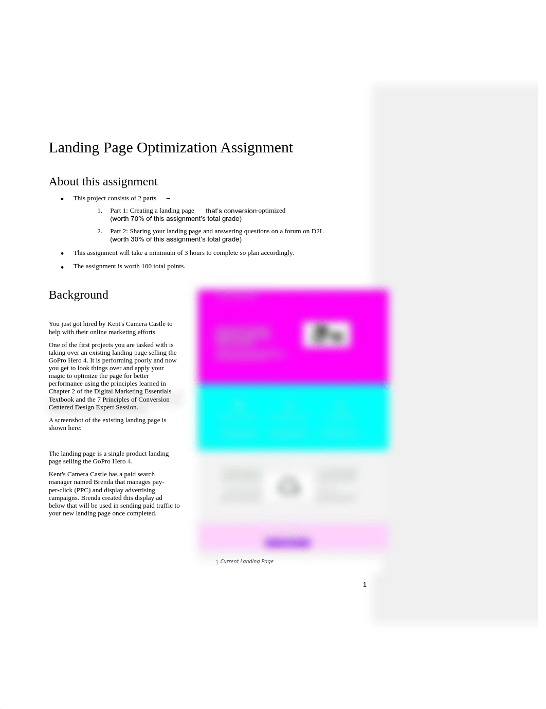 Landing Page Assignment.pdf_djt0pv5nppv_page1