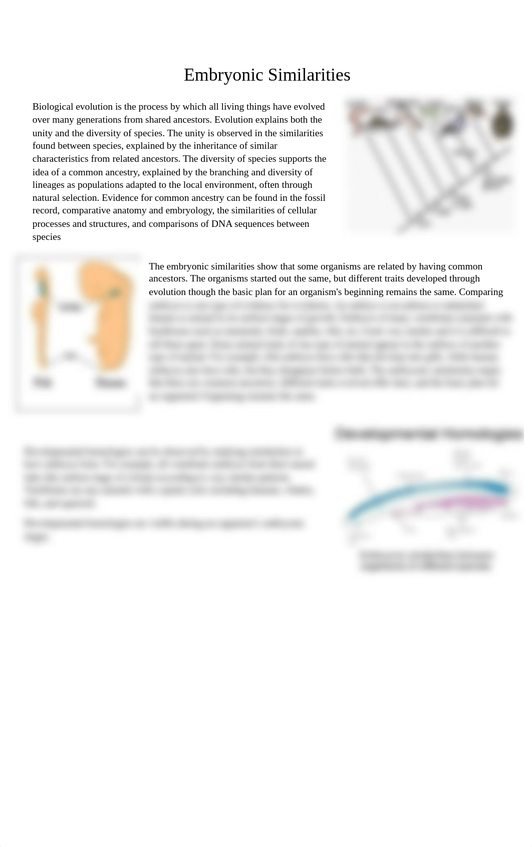 Embryonic Similarities.docx_djt521nqehq_page1