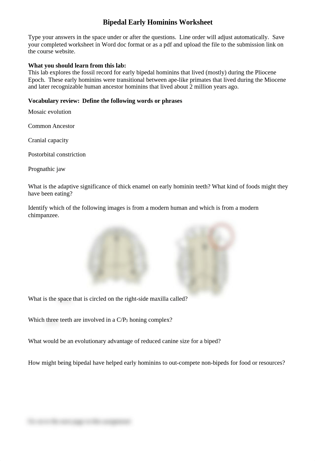 12-Bipedal Early Hominins Worksheet (1).docx_djtbrrb1nkk_page1