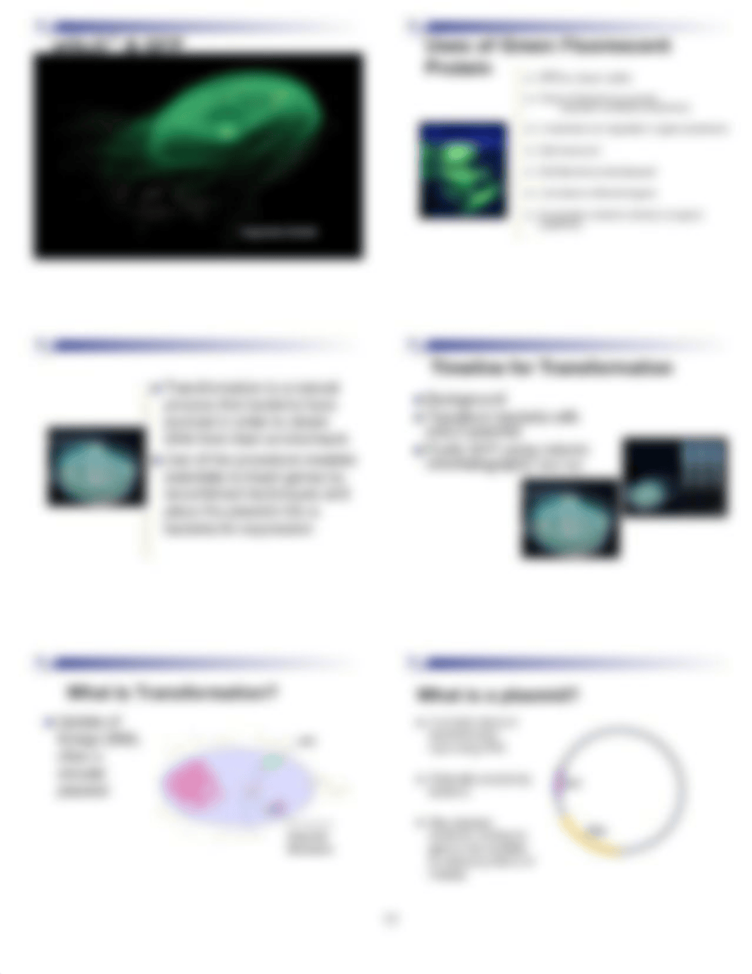 Bacterial transformation lab (1) (1).docx_djth1ef20kt_page3