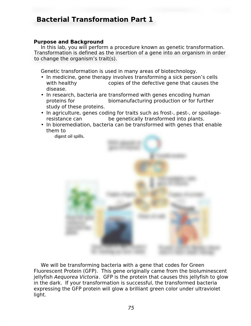 Bacterial transformation lab (1) (1).docx_djth1ef20kt_page1