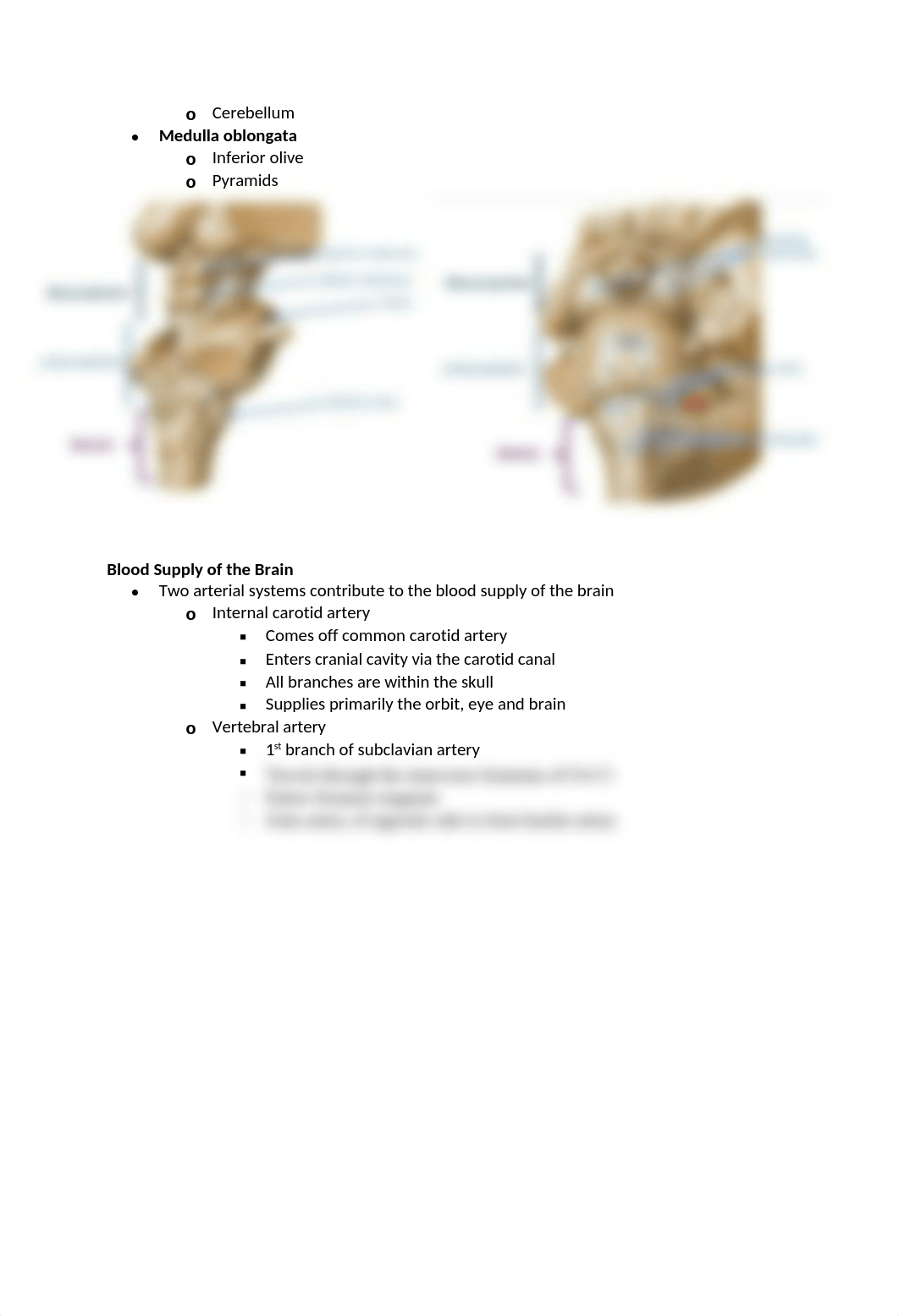 3. Brain Meninges_Blood Supply.docx_djtof6izphp_page5