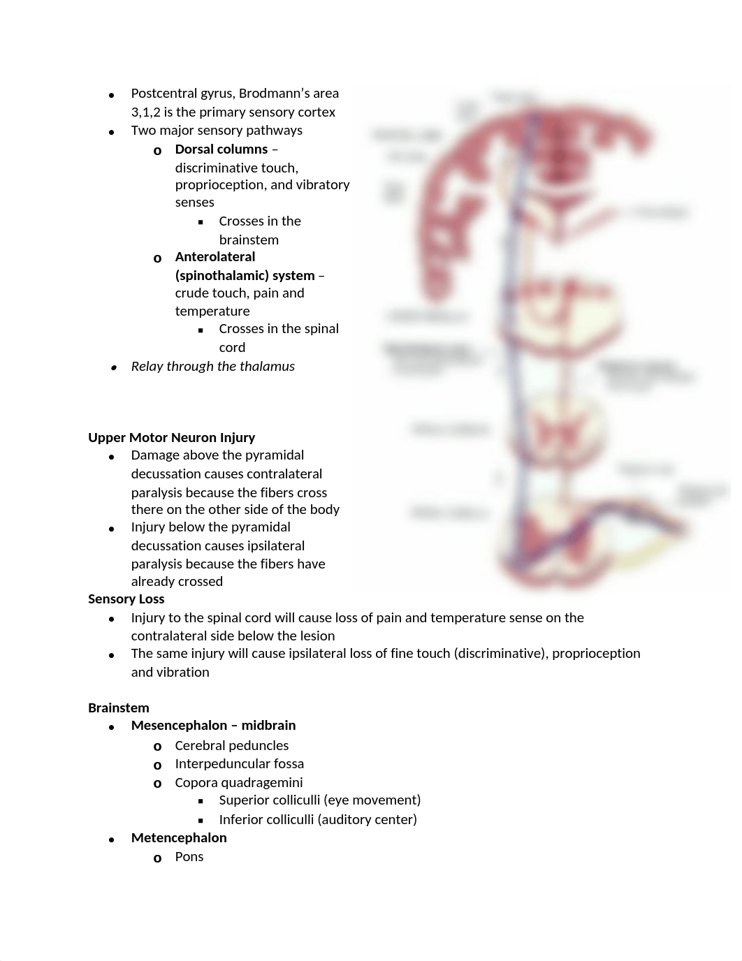 3. Brain Meninges_Blood Supply.docx_djtof6izphp_page4