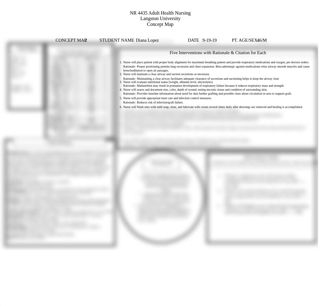 Concept Map 2 AAH.docx_djtqoq1hb45_page1