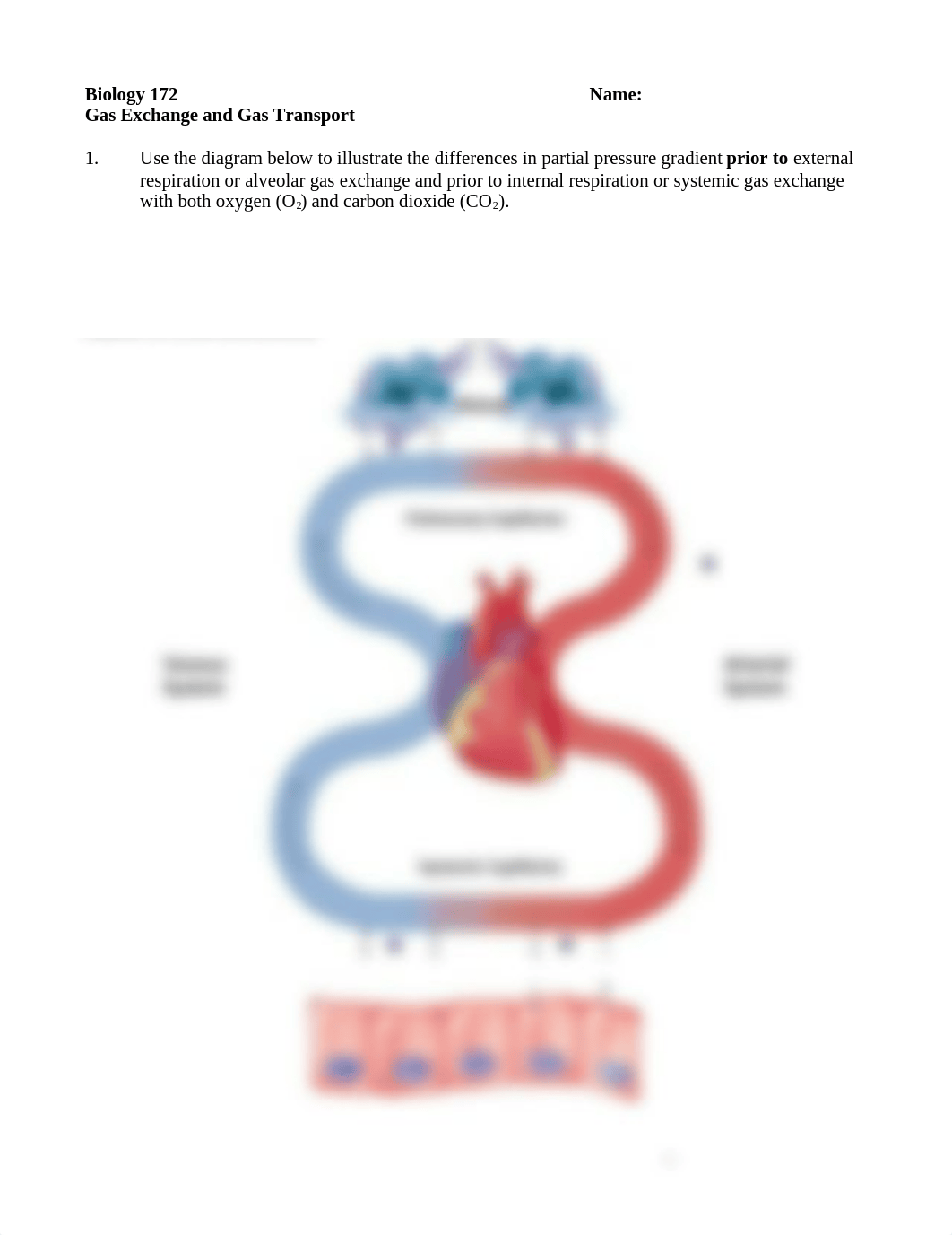 Resp System Gas Exchange and Gas Transport.docx_djtre0qab6y_page1