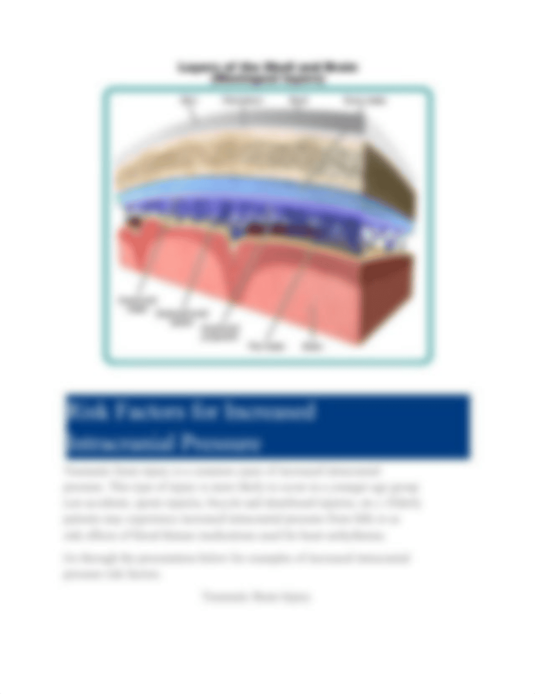 NR 283 - Edapt Unit 3 Intracranial Regulation.docx_djtww978q7g_page3