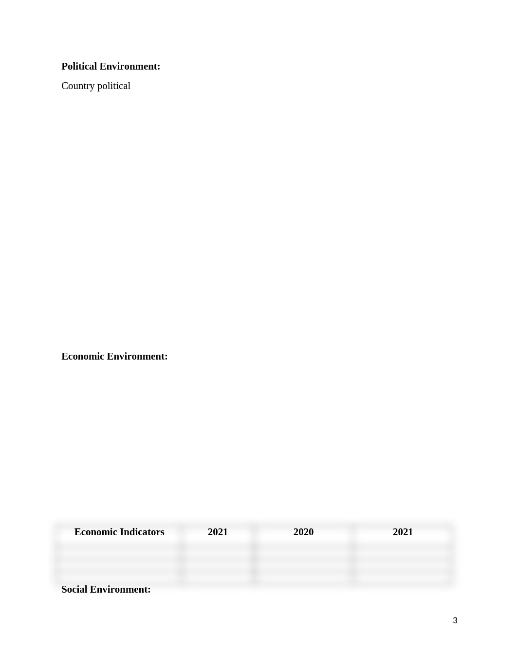 International Business Entry Plan.docx_djtzmdc41s9_page3