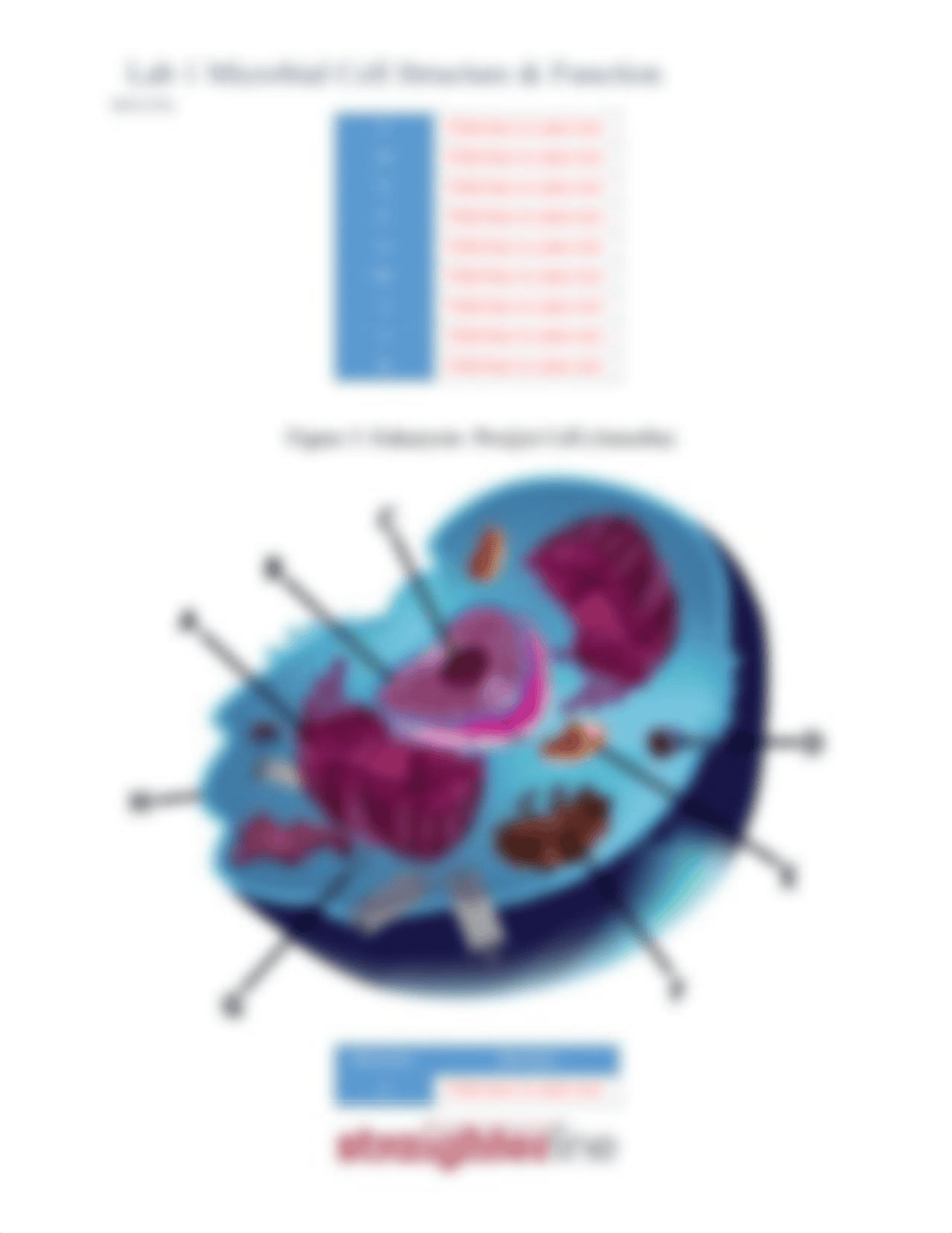 Lab 1 -Microbial Cell Structure and Function (MAC).pdf_dju63m4ki50_page3