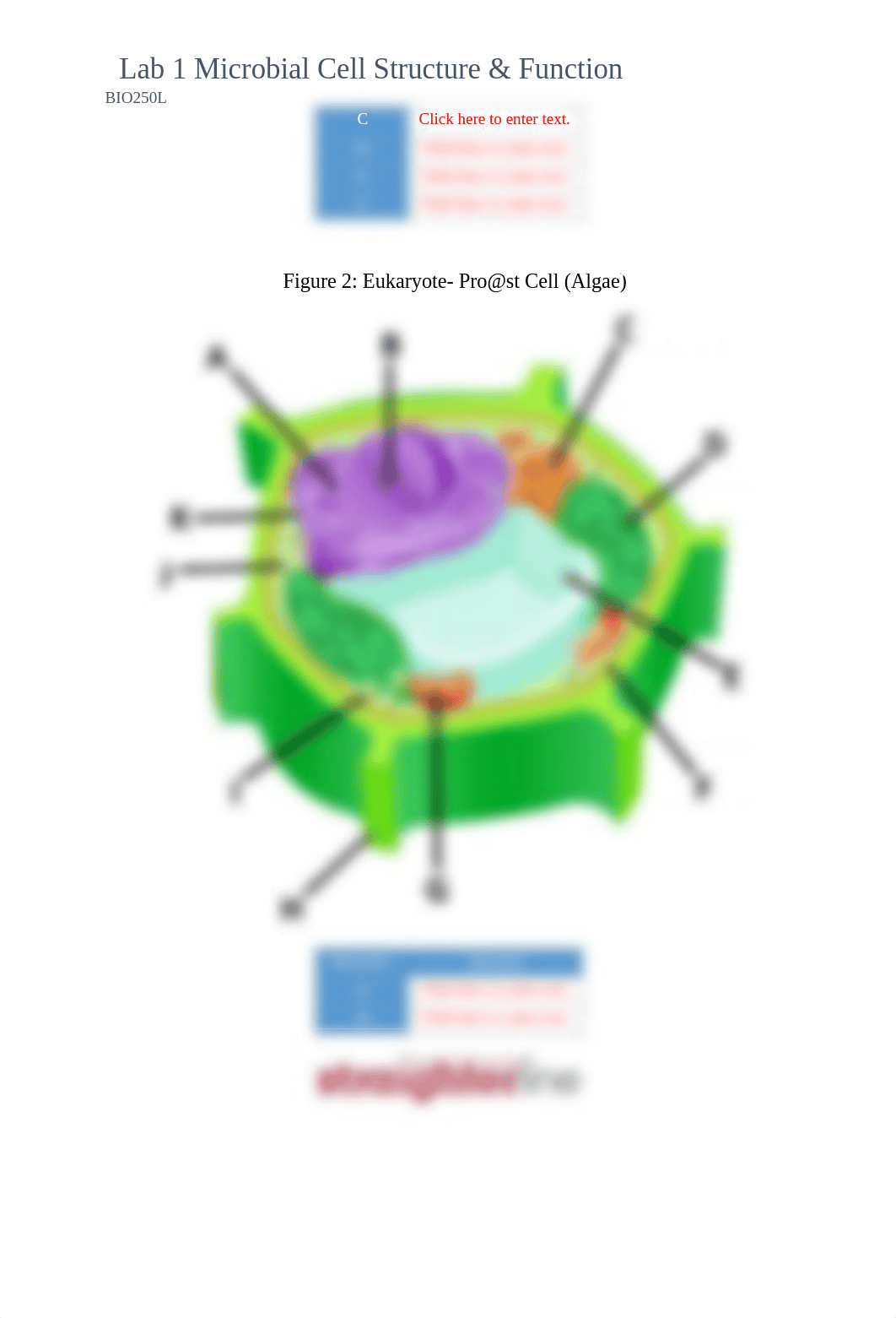 Lab 1 -Microbial Cell Structure and Function (MAC).pdf_dju63m4ki50_page2