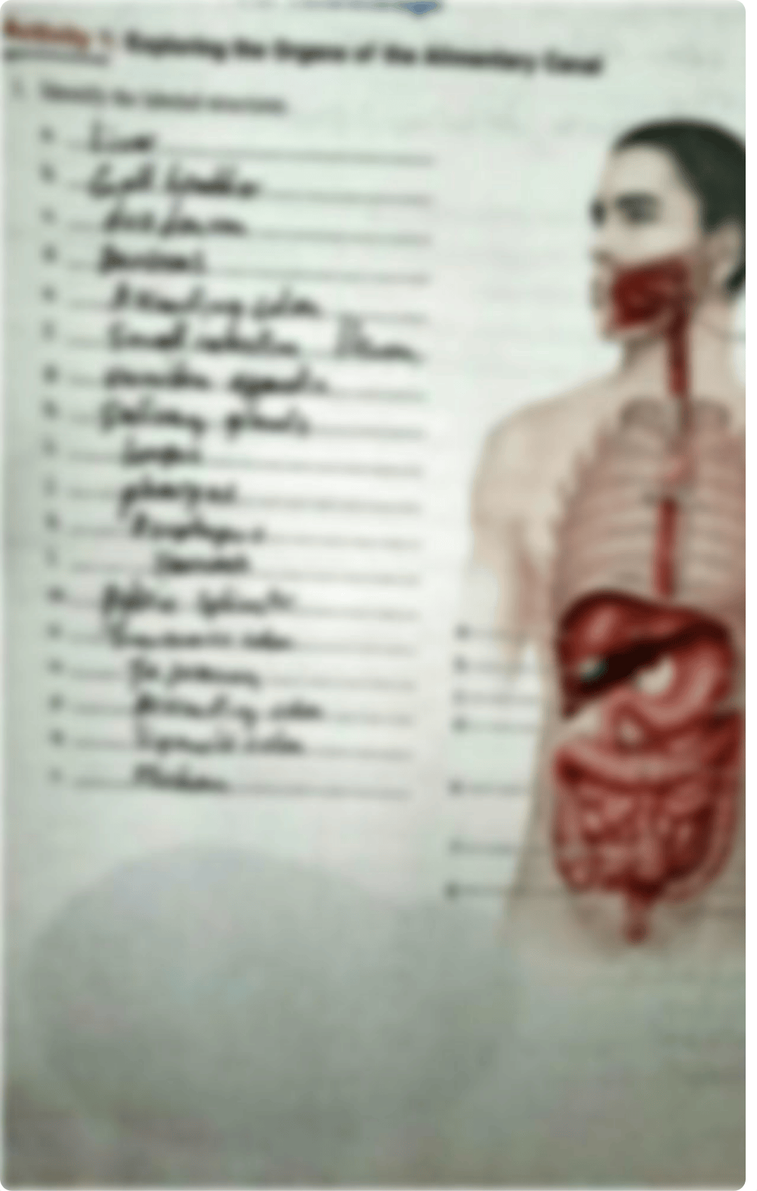 Unit 27 Post-Lab.pdf_djud89e8457_page1