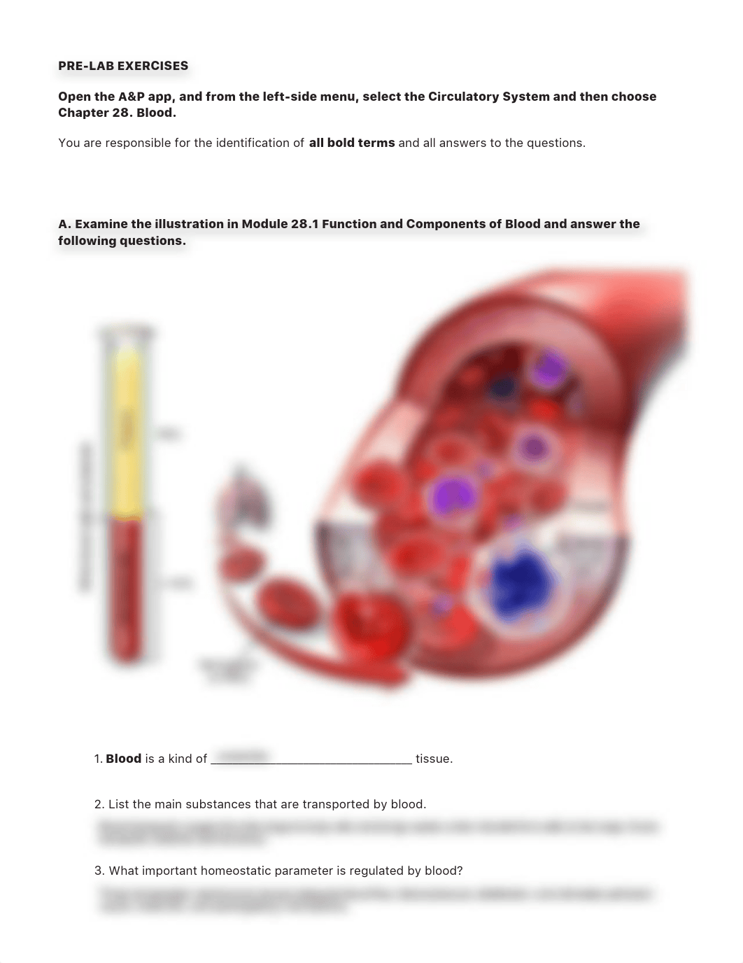 completed blood lab.pdf_djunirejw3w_page2