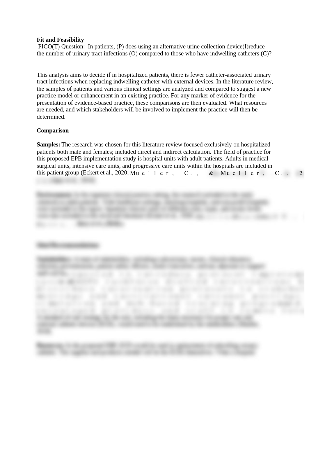 nsg 415 Fit and Feasibility.docx_djux6vj0rpl_page1