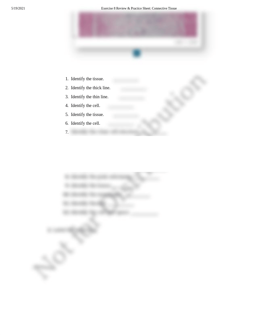 Exercise 8 Review sheet for Connective Tissue Revised.pdf_djv3fhl98a8_page2