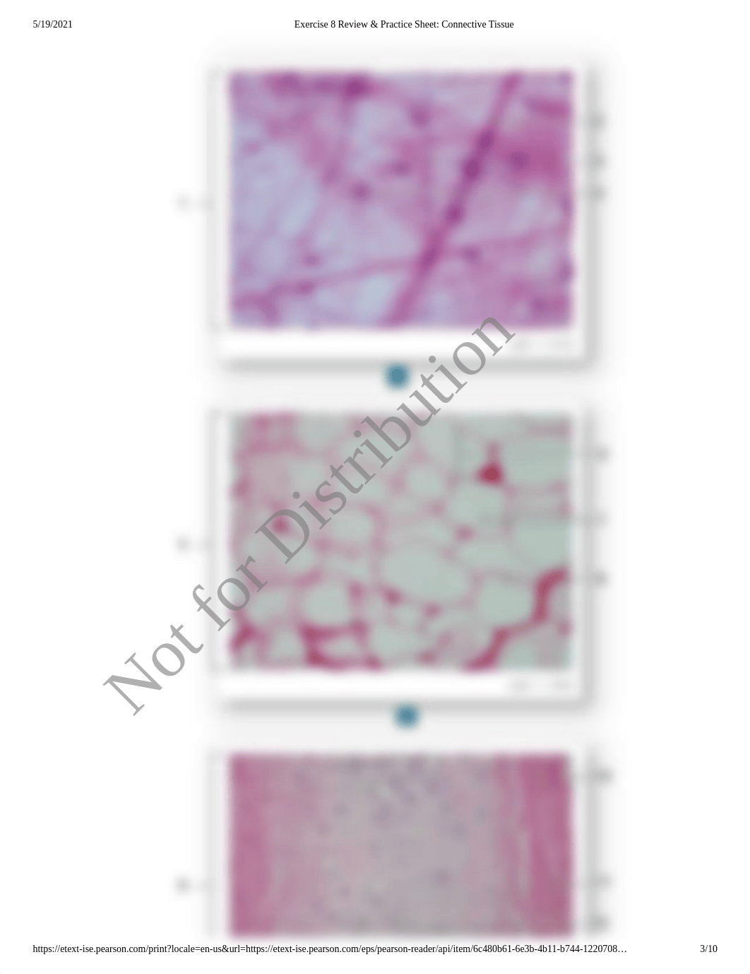 Exercise 8 Review sheet for Connective Tissue Revised.pdf_djv3fhl98a8_page1