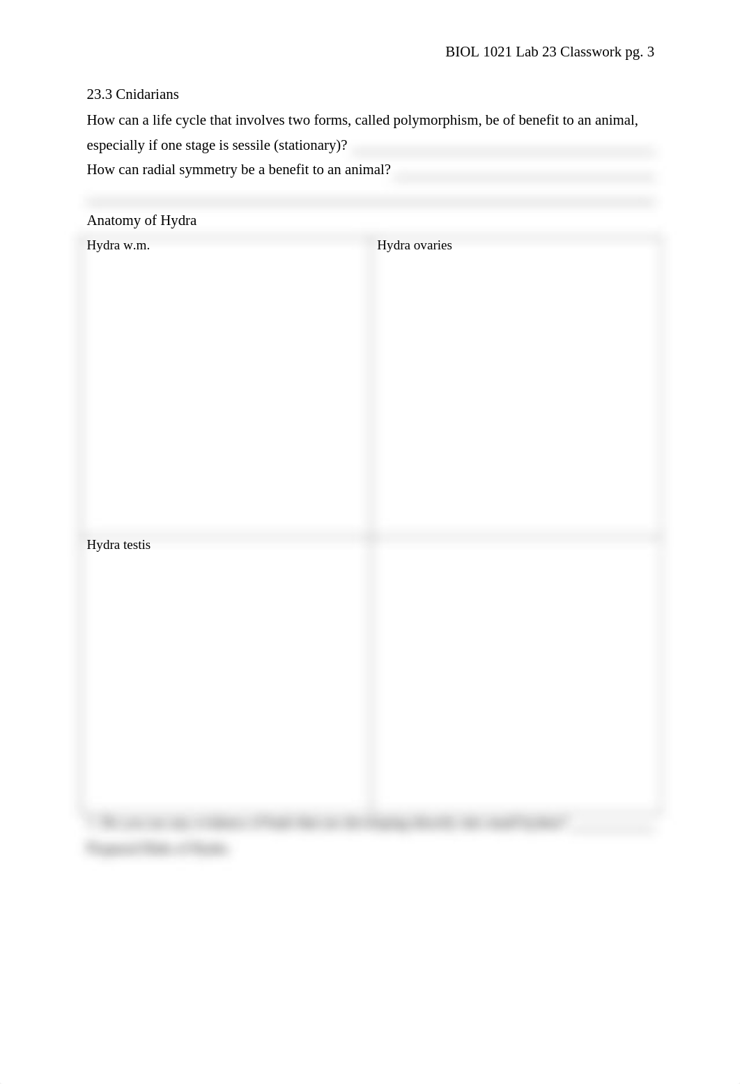 BIOL 1021 Lab 23 Intro to Inverts Classwork_djv5w6fkm44_page3