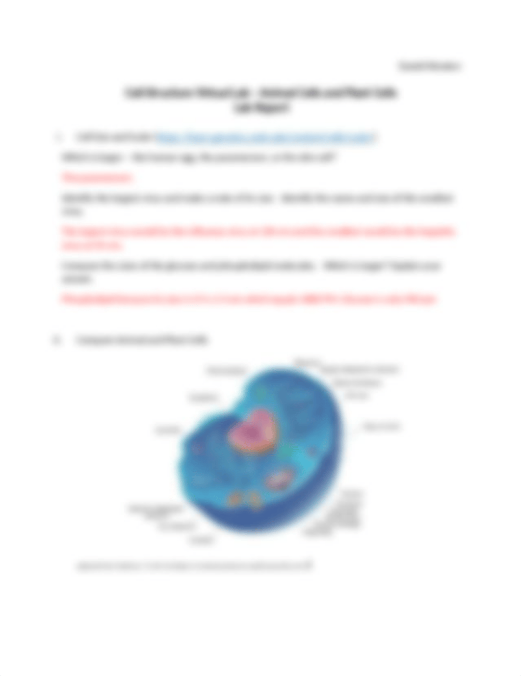 Cell Structure Virtual Lab - Lab Report.docx_djvb6za9qu9_page1