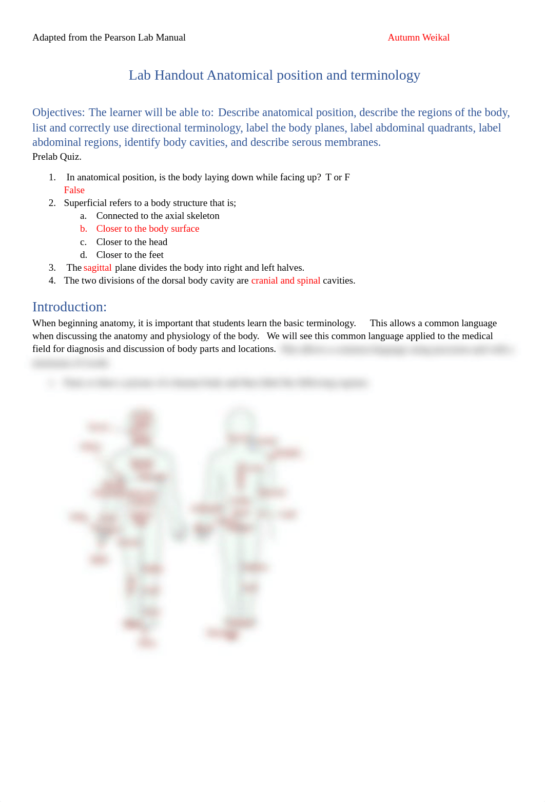 Post lab for Anatomical position.1.pdf_djvcf3e8wfa_page1