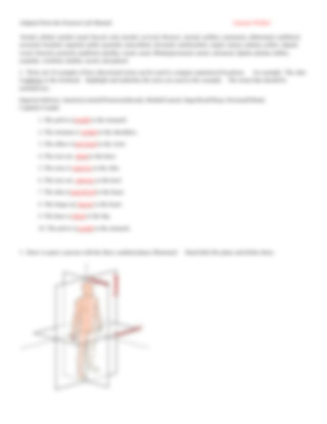 Post lab for Anatomical position.1.pdf_djvcf3e8wfa_page2