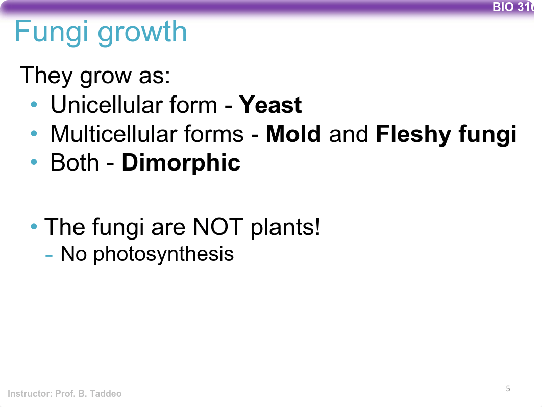 BIO310_F17_Lab14_Fungi.pdf_djvg7jcqsw5_page5