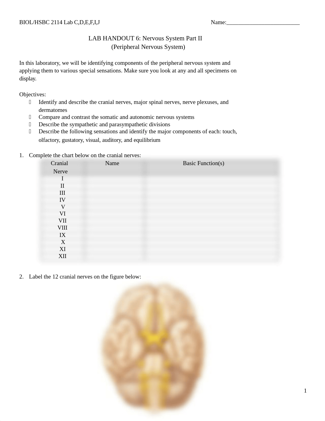 Hum Anat Lab 6.docx_djvkeb4l7qk_page1