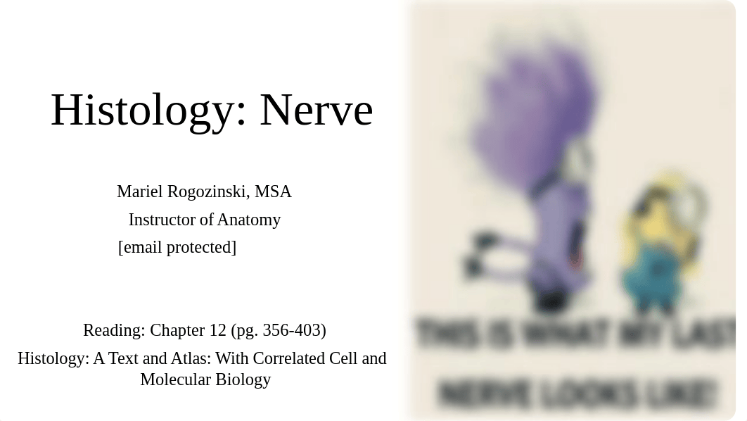 Nerve Histology Student.pptx_djvn4bsnr11_page1