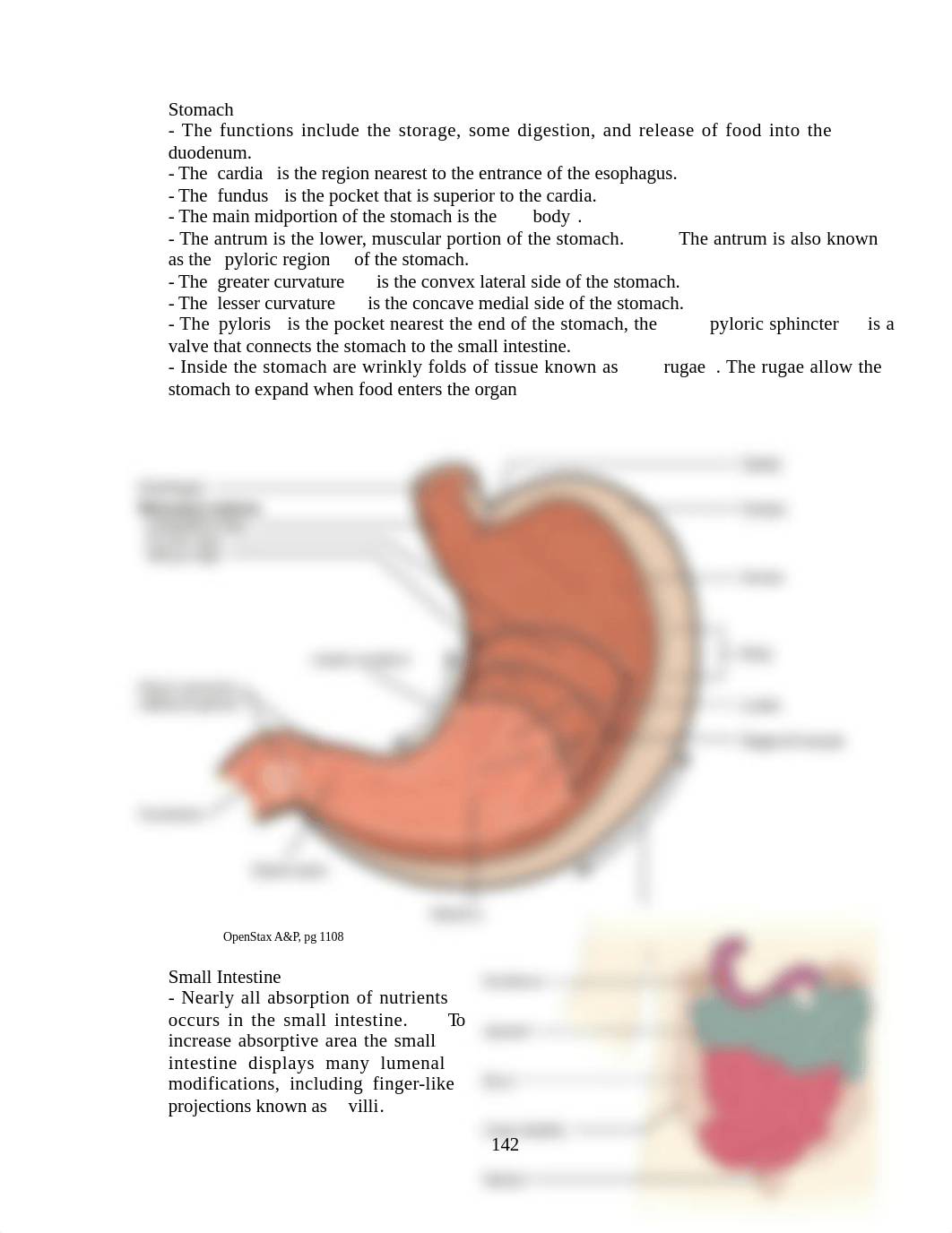 A&P 2 Anatomy of Digestion Lab 2021 (1).docx_djvrl9xyw9p_page2