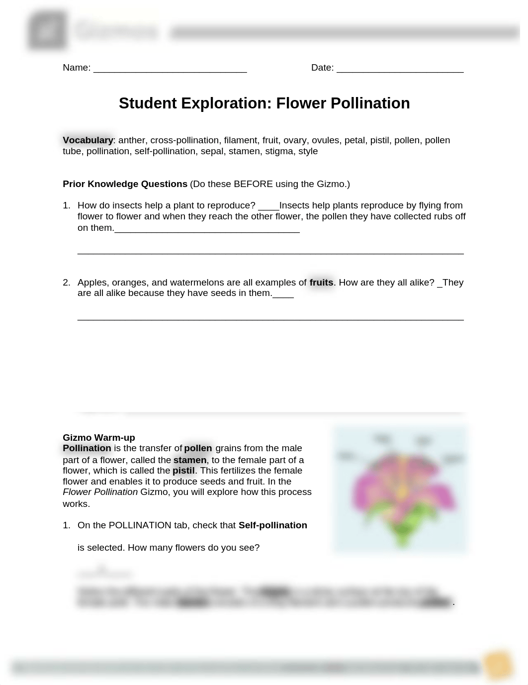 FlowerPollination_gizmo.docx_djvtkqz5xov_page1