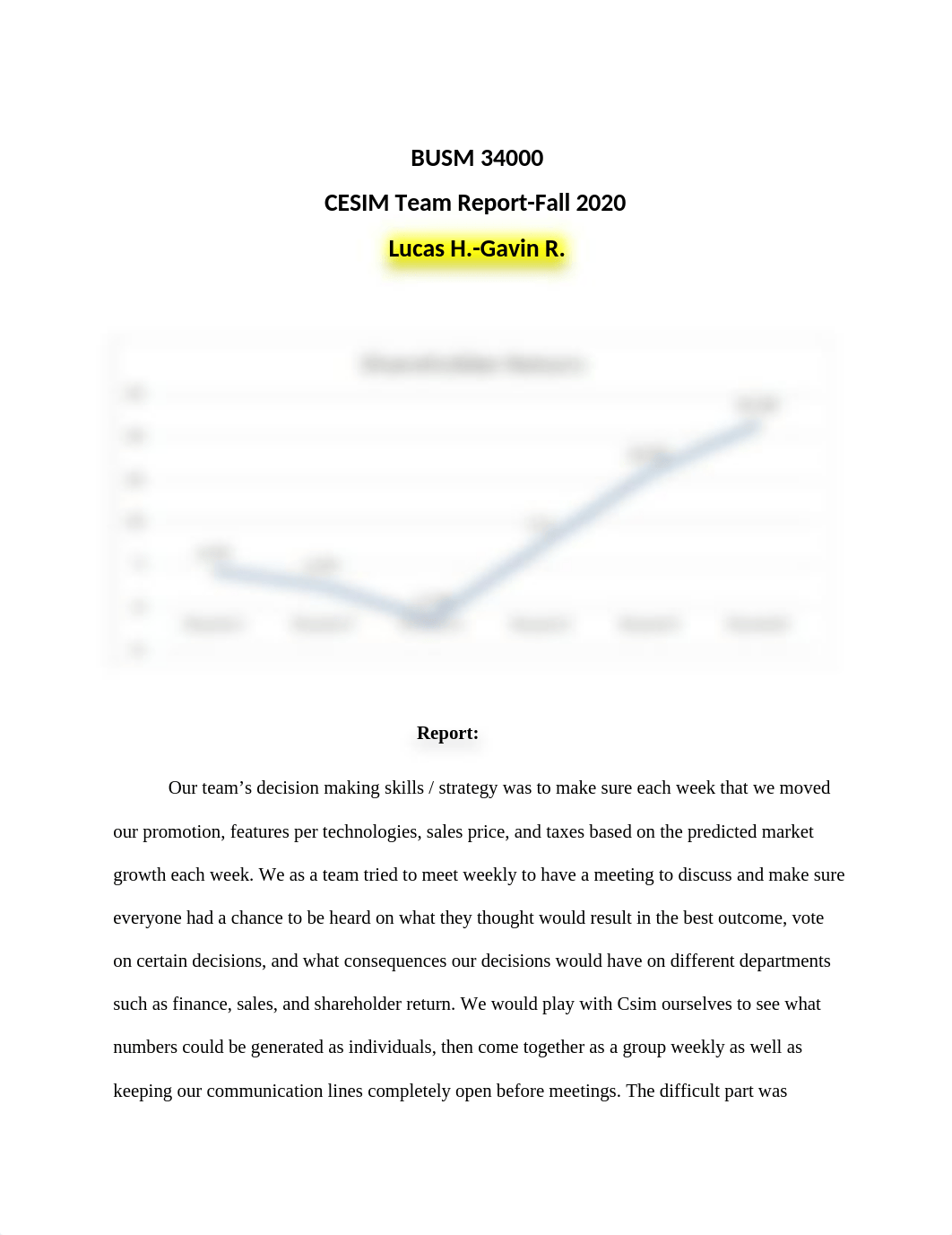 CESIMFinalReport (1) (1).docx_djw3bfsaq0z_page1