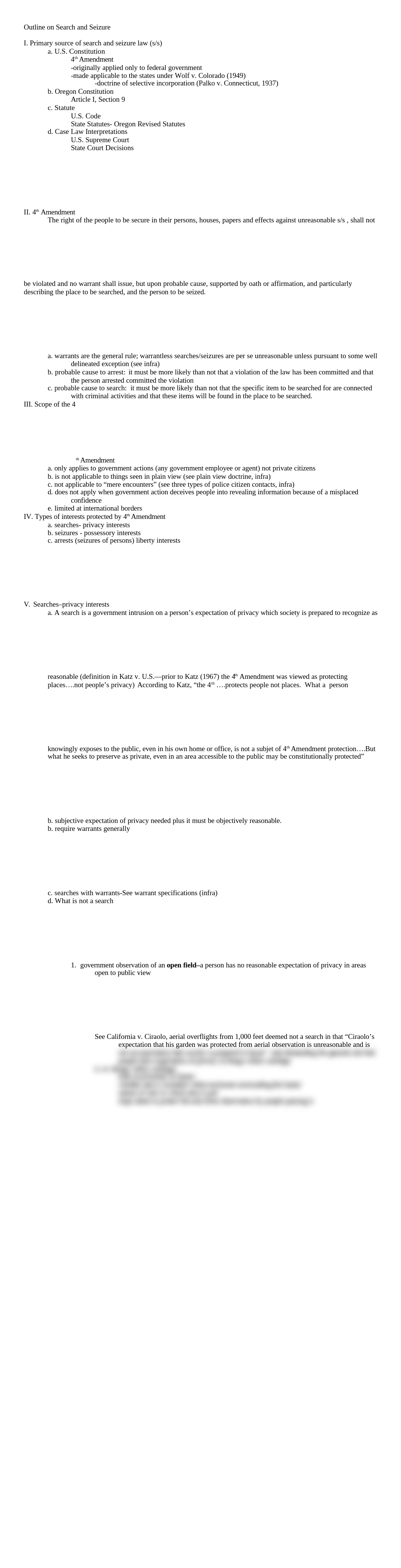 search and seizure outline_djw6xcb08sm_page1