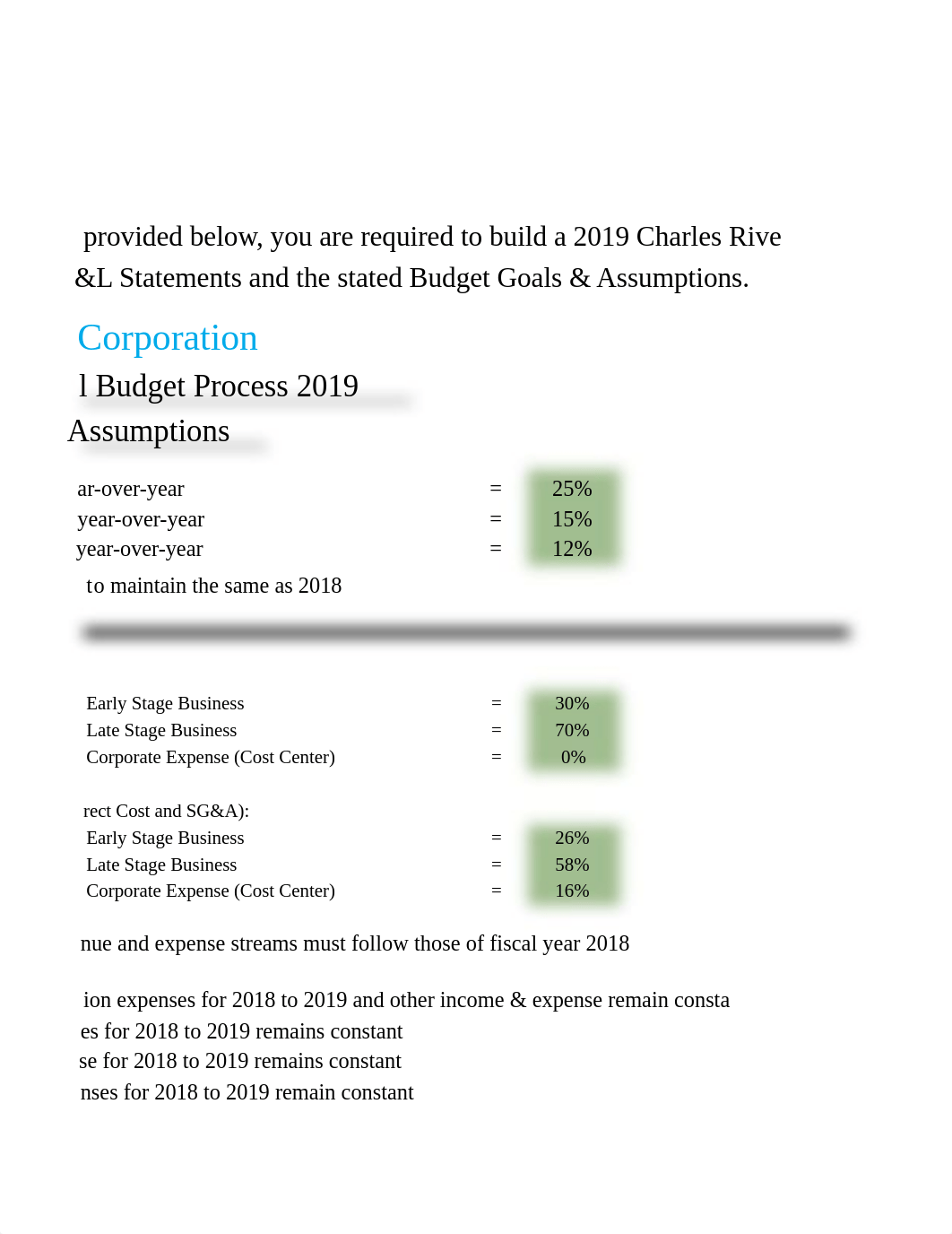 (2) Charles River Corporate Budgeting Process 2019 (STATEMENT).xls_djw9embveya_page2