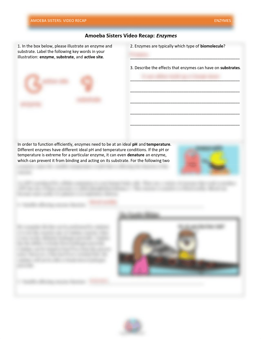 video_recap_of_enzymes_by_amoeba_sisters.pdf_djw9k0mvknu_page1