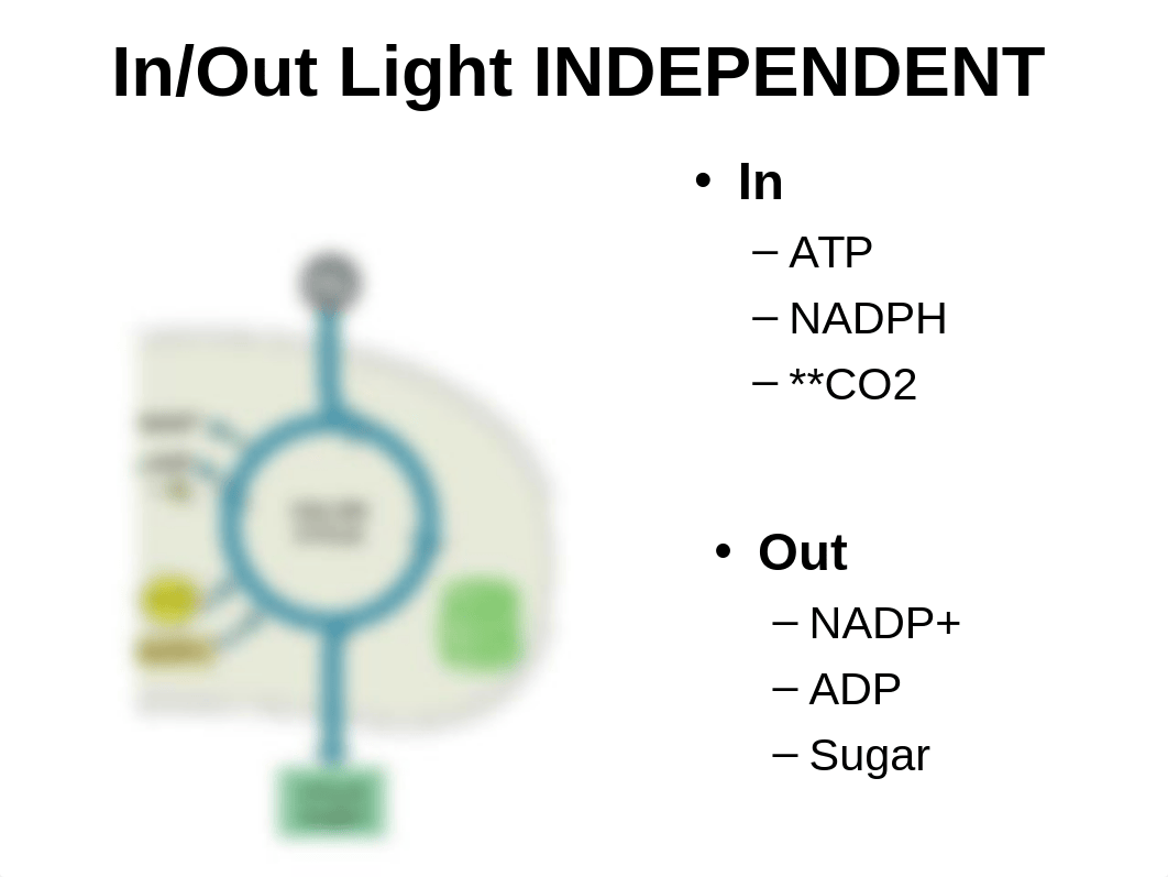 9.1 Cellular Respiration Overview.ppt_djwav10tuve_page5