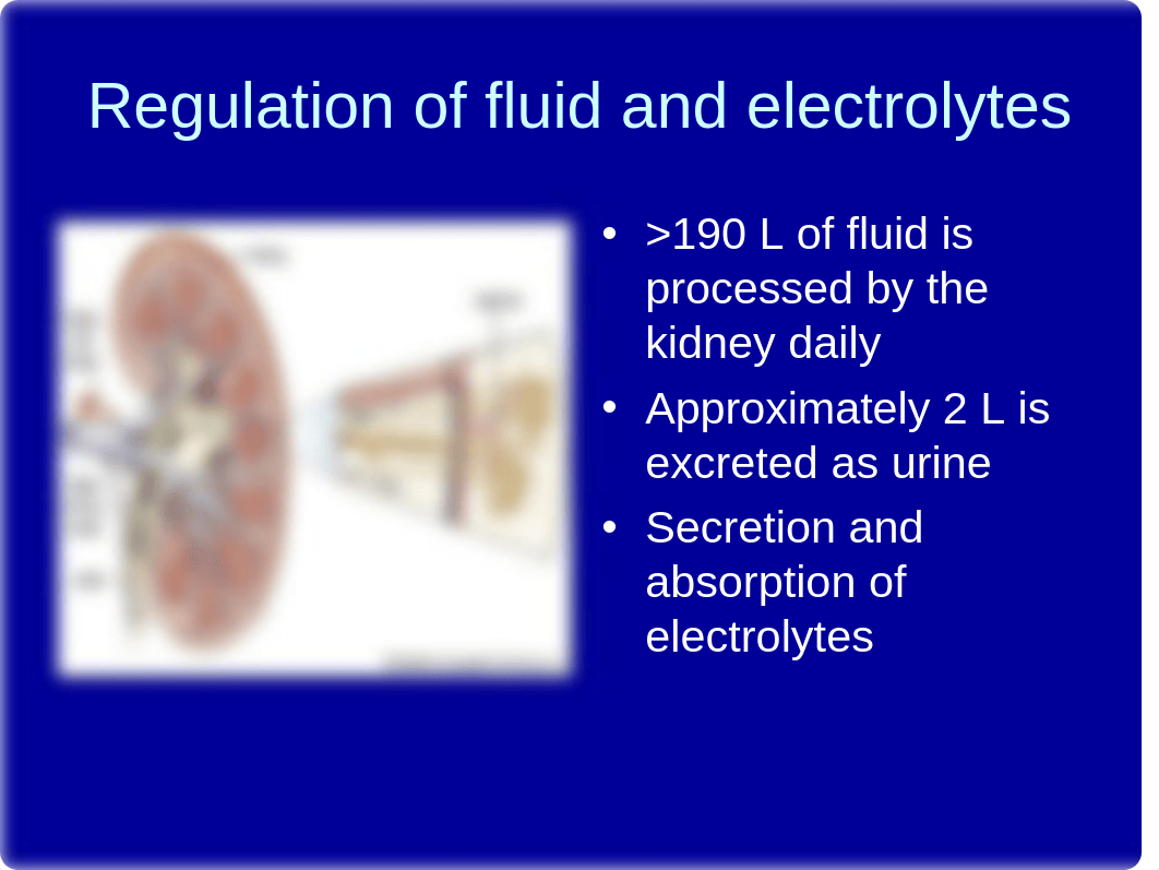 Kidney DiseasePPT(1) (1).ppt_djwet7huvny_page4