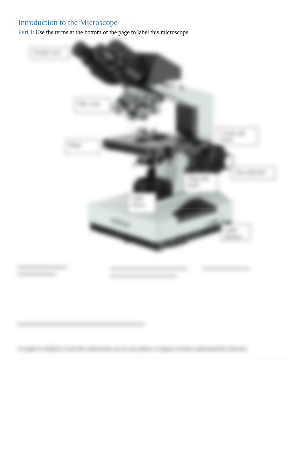 BIOL251 Lab 1_Intro to Microscope_Fa20 (4).pdf_djwldzac28y_page3