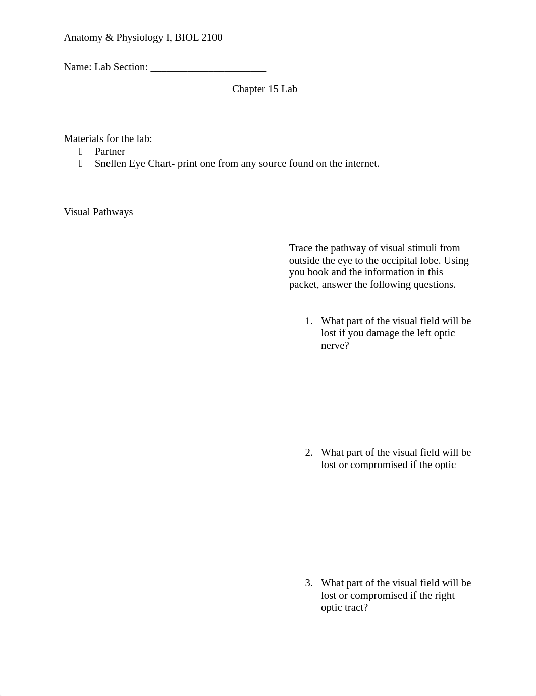 Chapter 15 Lab.docx_djwqb4artjj_page1