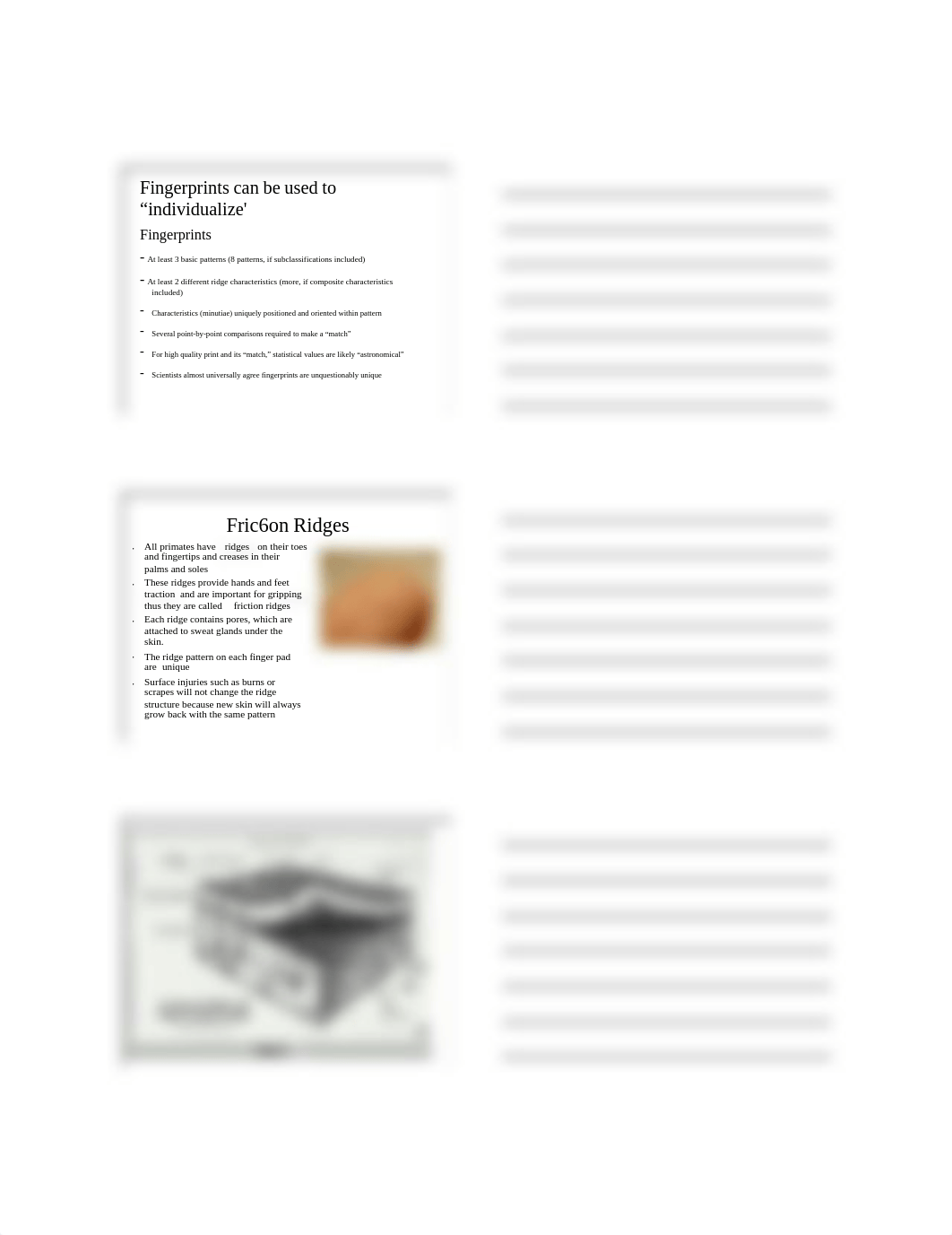 5 Fingerprints and Patterns Notes_djwsmt920rf_page3