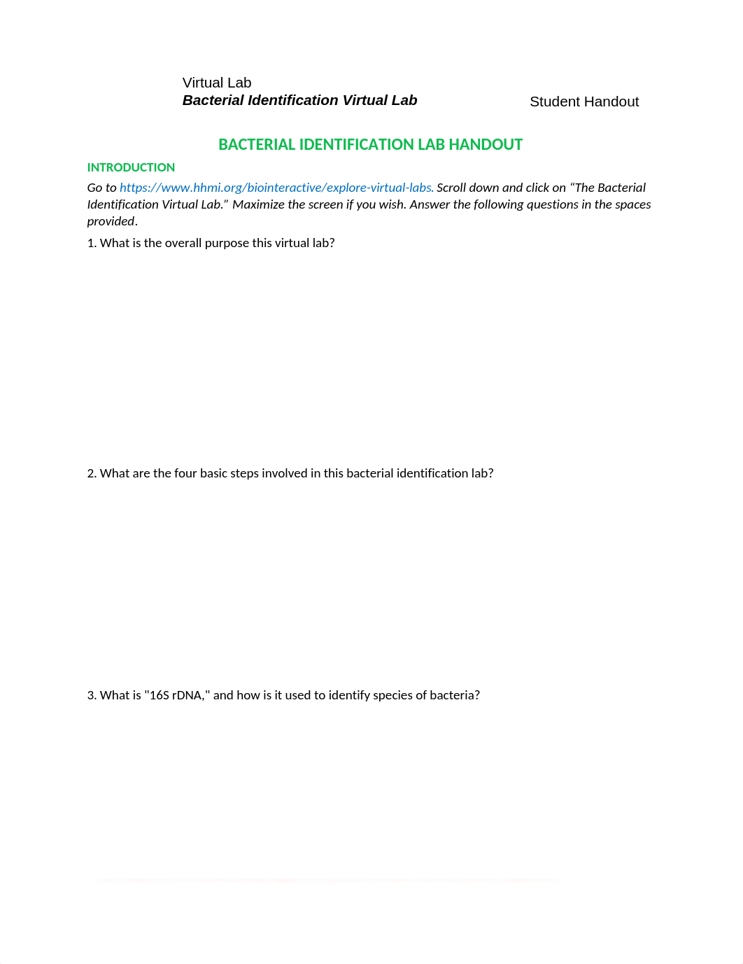 Bacterial-Identification-Lab-Worksheet-Student (1).docx_djwtg4tzfn7_page1